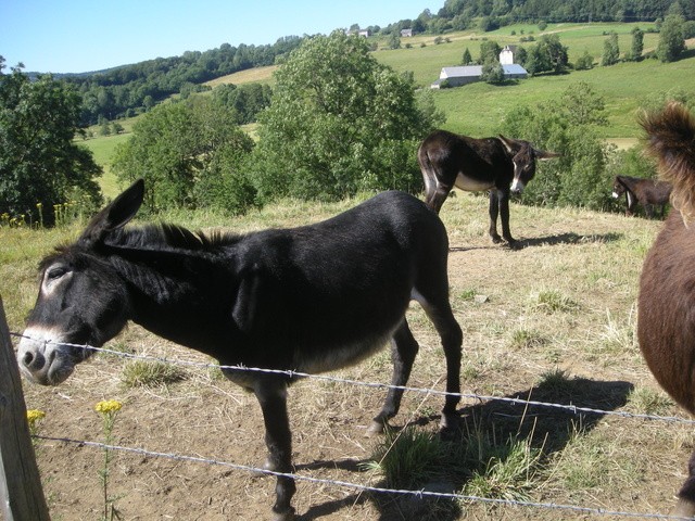 rencontre a tauves